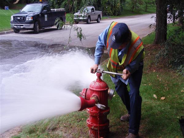Fire Hydrant Flushing.jpg